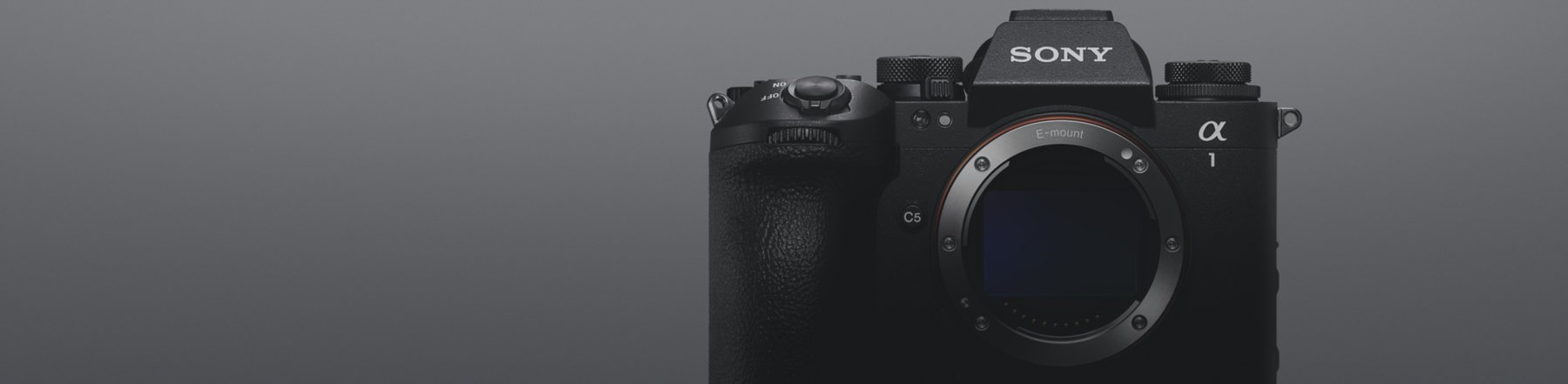 Sony Alpha mirrorless camera with G Master lens